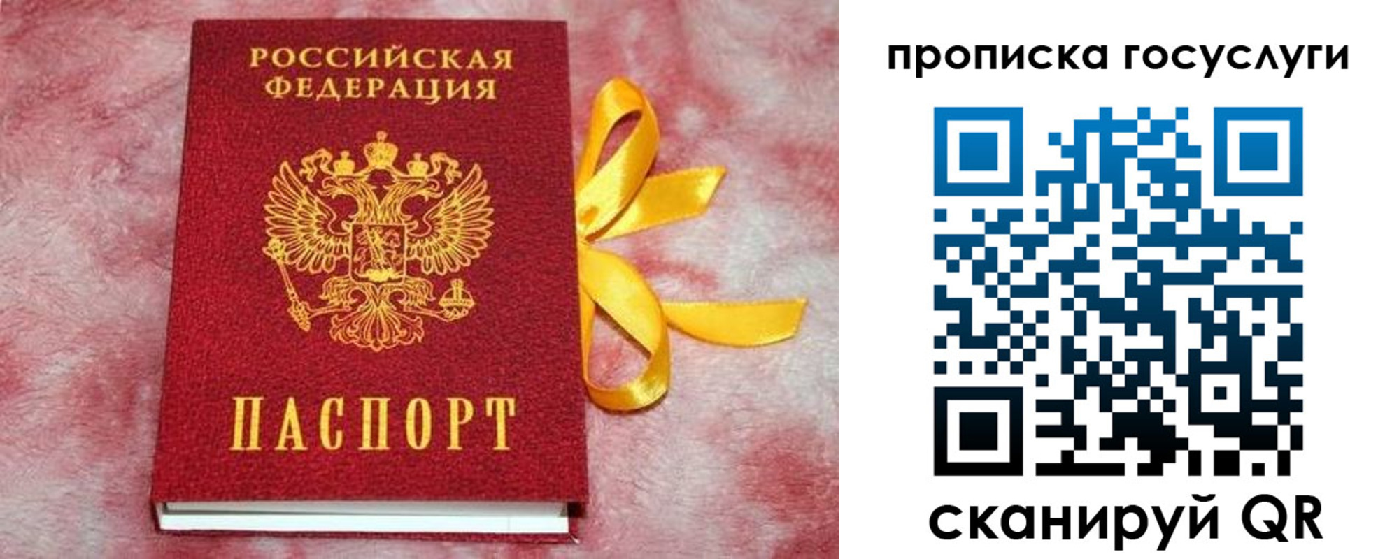 прописка законно в Козельске